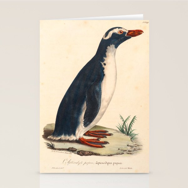 Ornithological illustration from "La Galerie de Oiseaux" ("Bird Gallery"), 1825 Stationery Card Gallery Image 1
