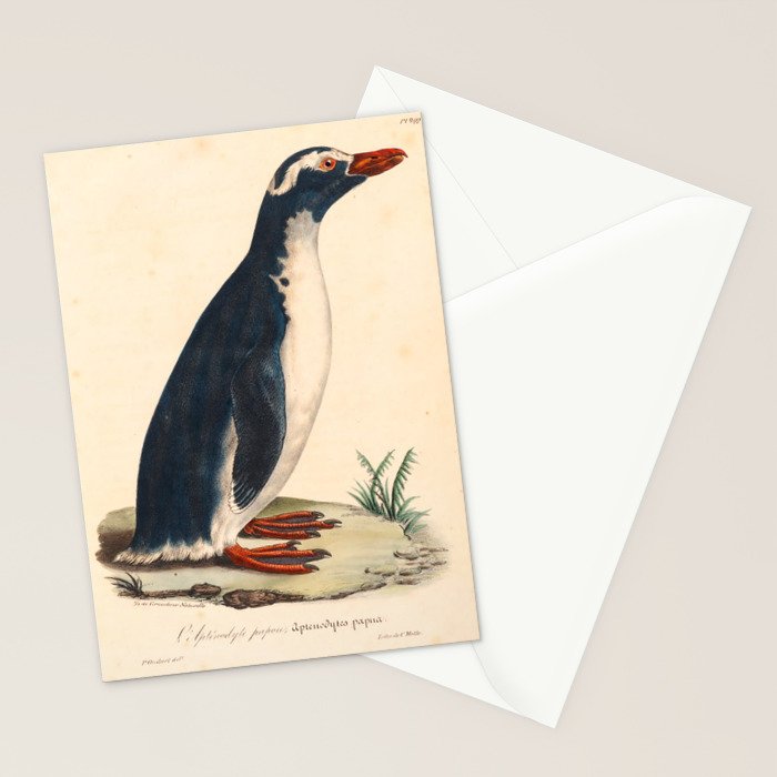 Ornithological illustration from "La Galerie de Oiseaux" ("Bird Gallery"), 1825 Stationery Card Gallery Image 2
