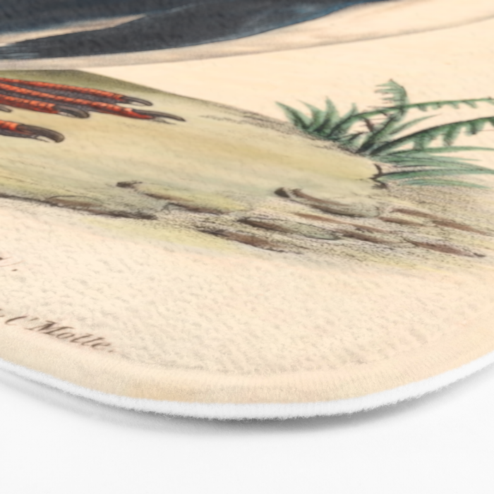 Ornithological illustration from "La Galerie de Oiseaux" ("Bird Gallery"), 1825 Bath Mat Gallery Image 3