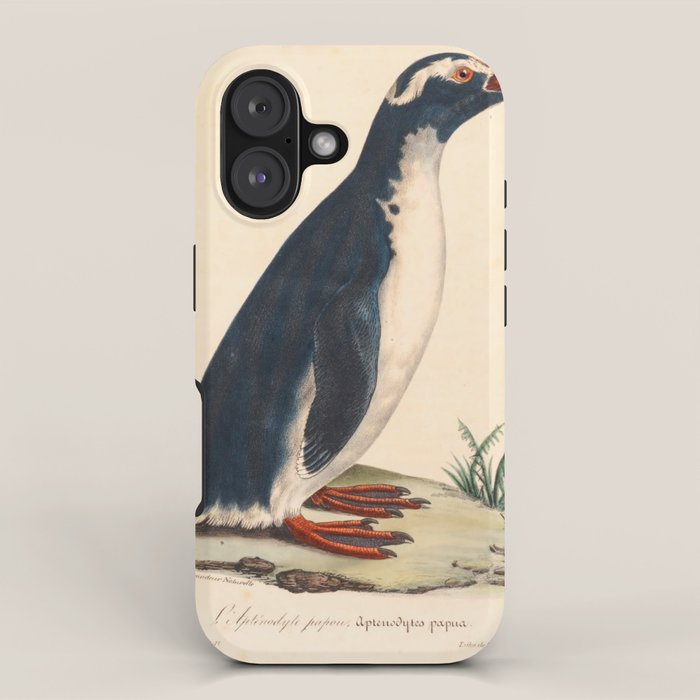 Ornithological illustration from "La Galerie de Oiseaux" ("Bird Gallery"), 1825 iPhone Case Gallery Image 1