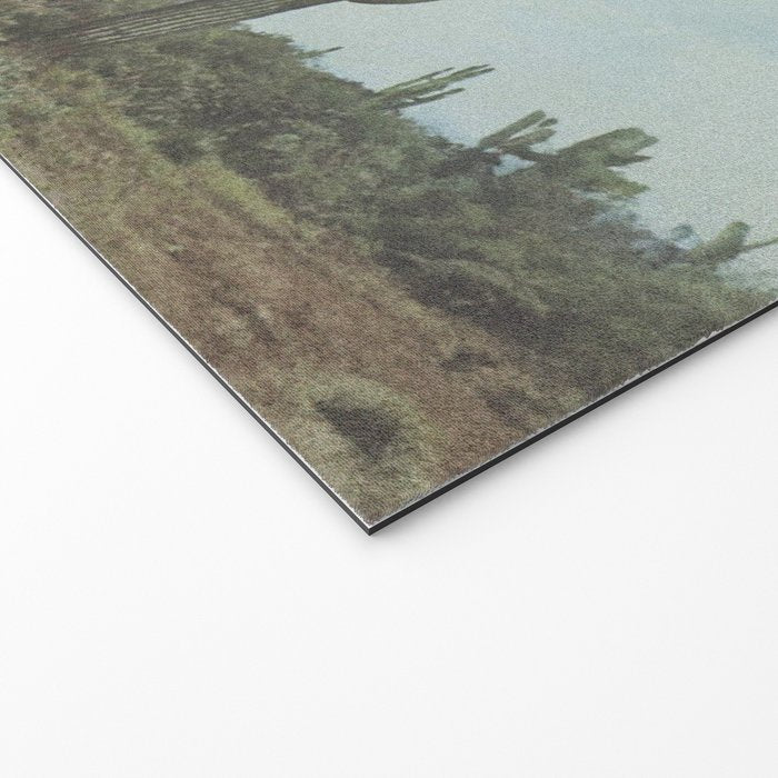 These Boots - Cactus & Yeehaw Landscape Welcome Mat Gallery Image 2