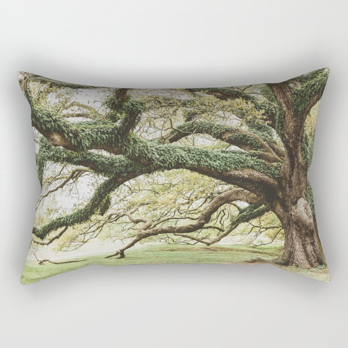 Audubon Park New Orleans  Rectangular Pillow Gallery Image 1