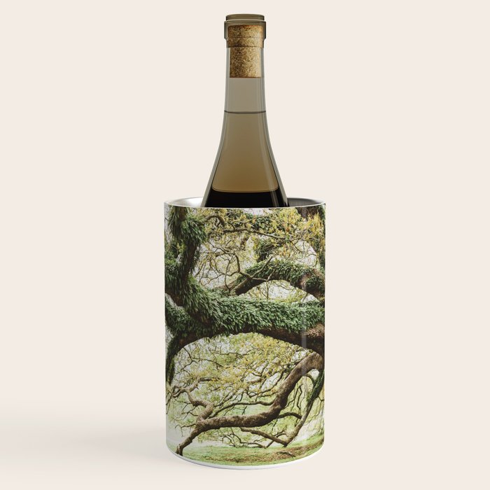 Audubon Park New Orleans  Wine Chiller Gallery Image 1