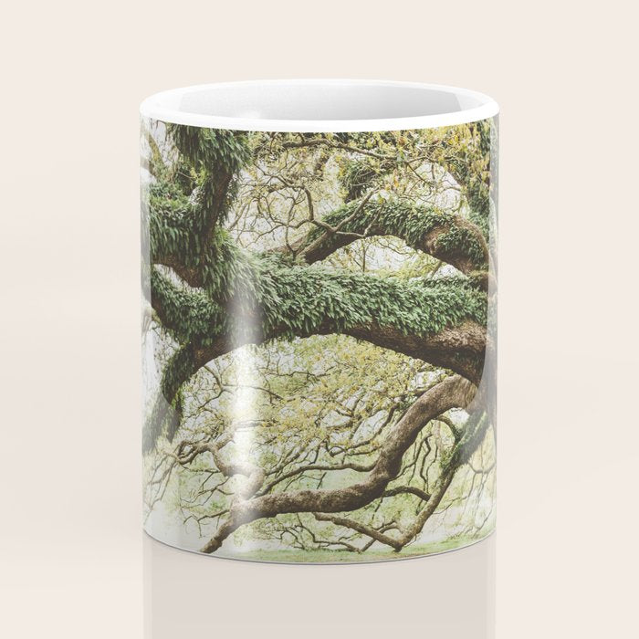 Audubon Park New Orleans  Coffee Mug Gallery Image 4