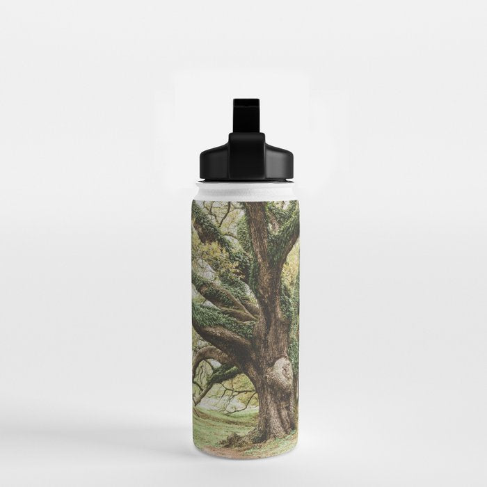 Audubon Park New Orleans  Water Bottle Gallery Image 2