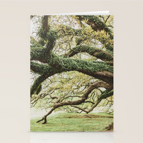 Audubon Park New Orleans  Stationery Card Gallery Image 1