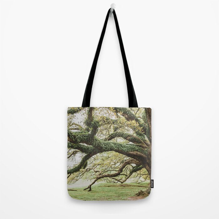 Audubon Park New Orleans  Tote Bag Gallery Image 2