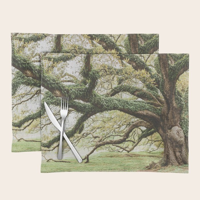 Audubon Park New Orleans  Placemat Gallery Image 1
