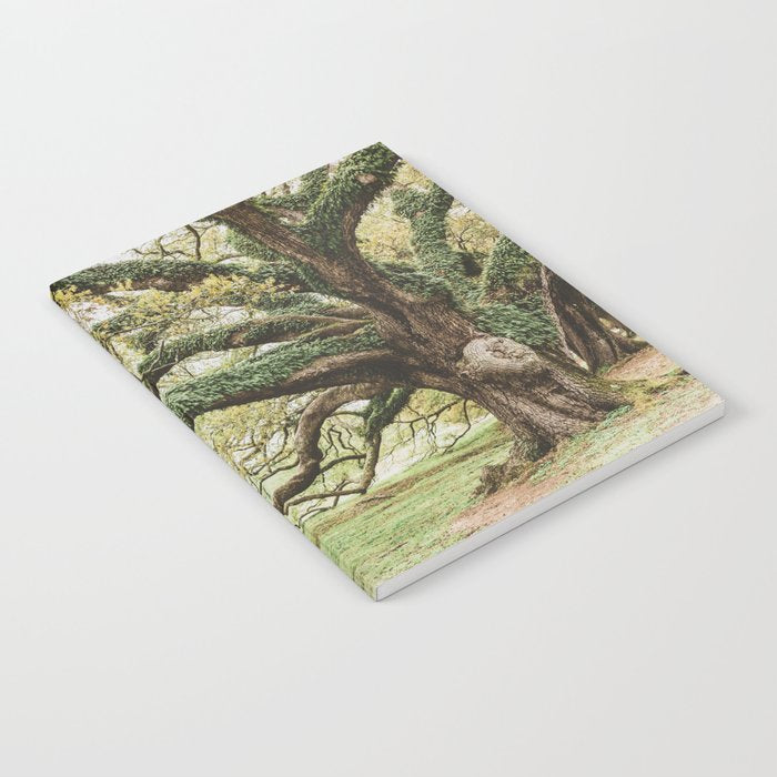 Audubon Park New Orleans  Notebook Gallery Image 2