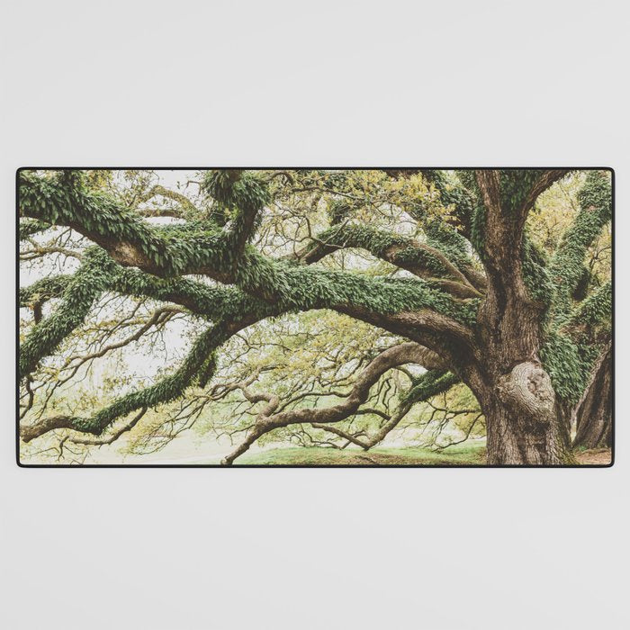 Audubon Park New Orleans  Desk Mat Gallery Image 3
