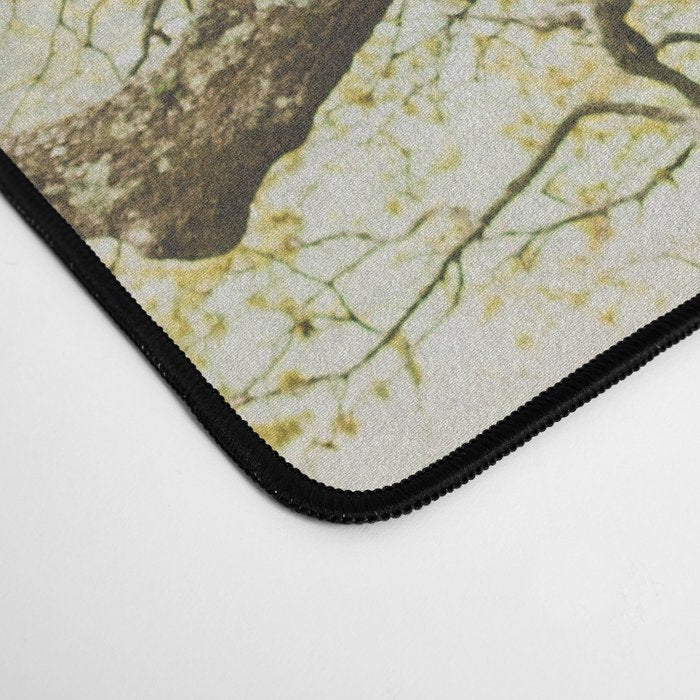 Audubon Park New Orleans  Desk Mat Gallery Image 4