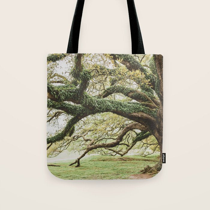 Audubon Park New Orleans  Tote Bag Gallery Image 1