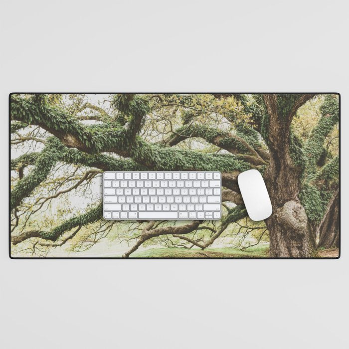 Audubon Park New Orleans  Desk Mat Gallery Image 1