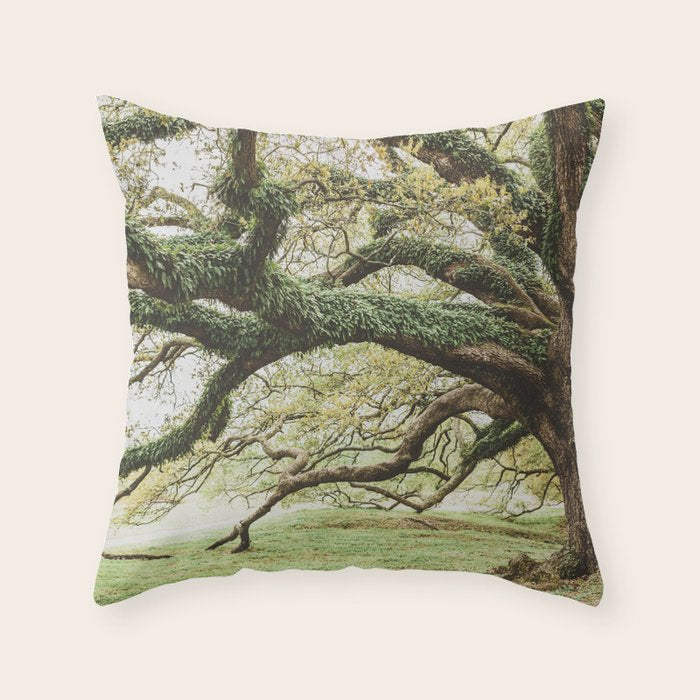 Audubon Park New Orleans  Throw Pillow Gallery Image 1