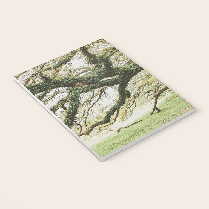 Audubon Park New Orleans  Notebook Gallery Image 3