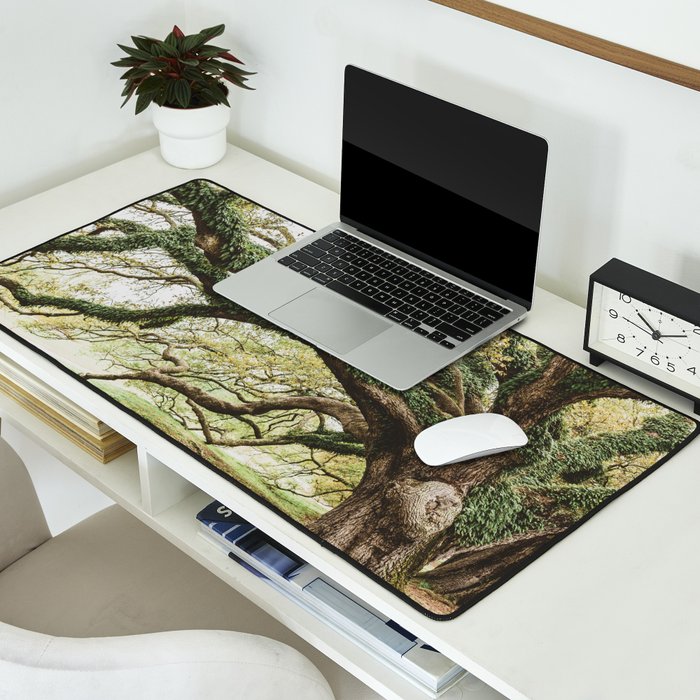 Audubon Park New Orleans  Desk Mat Gallery Image 2
