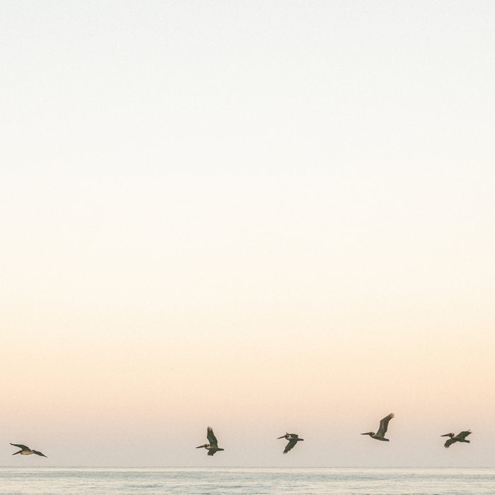 Birds at sunset | Playa Santa Teresa Costa Rica | Travel photography Coffee Mug Gallery Image 2