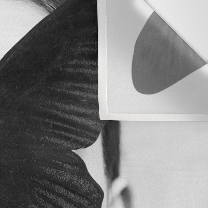 BLACK BUTTERFLY Wall Tapestry Gallery Image 3