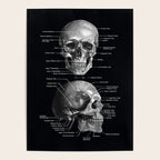 Skull Anatomy - Dark Version Poster Gallery Image 4