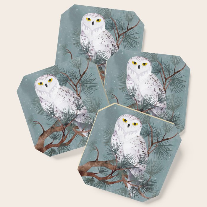 Snowy Coaster Gallery Image 1