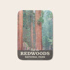 Visit the Redwoods National Park Bath Mat Gallery Image 1