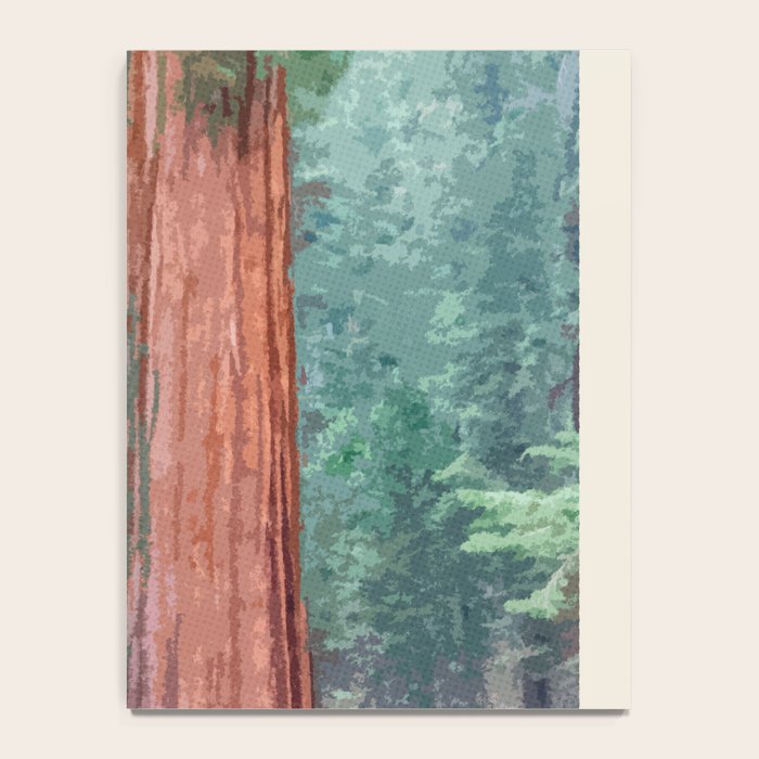 Visit the Redwoods National Park Notebook Gallery Image 4
