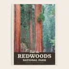 Visit the Redwoods National Park Poster Gallery Image 4
