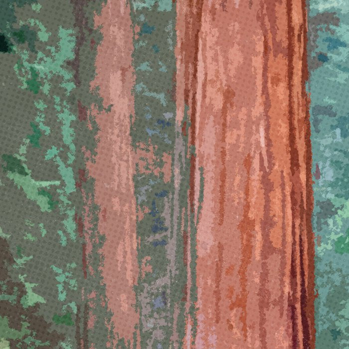 Visit the Redwoods National Park Coffee Mug Gallery Image 2