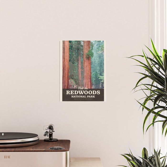 Visit the Redwoods National Park Poster Gallery Image 2