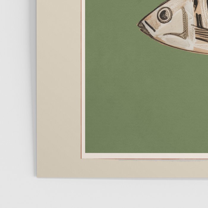 Abstract Fish Study II Poster Gallery Image 3