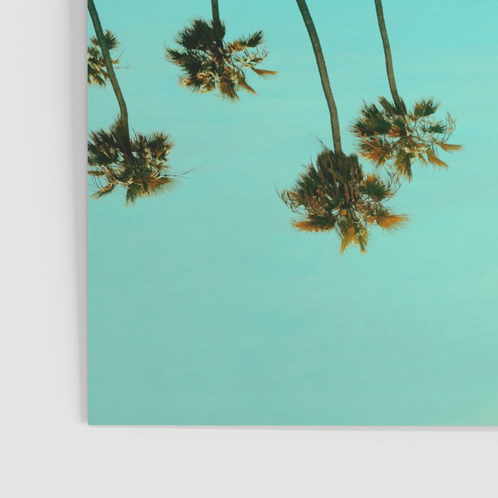 Palm Reflections Poster Gallery Image 3