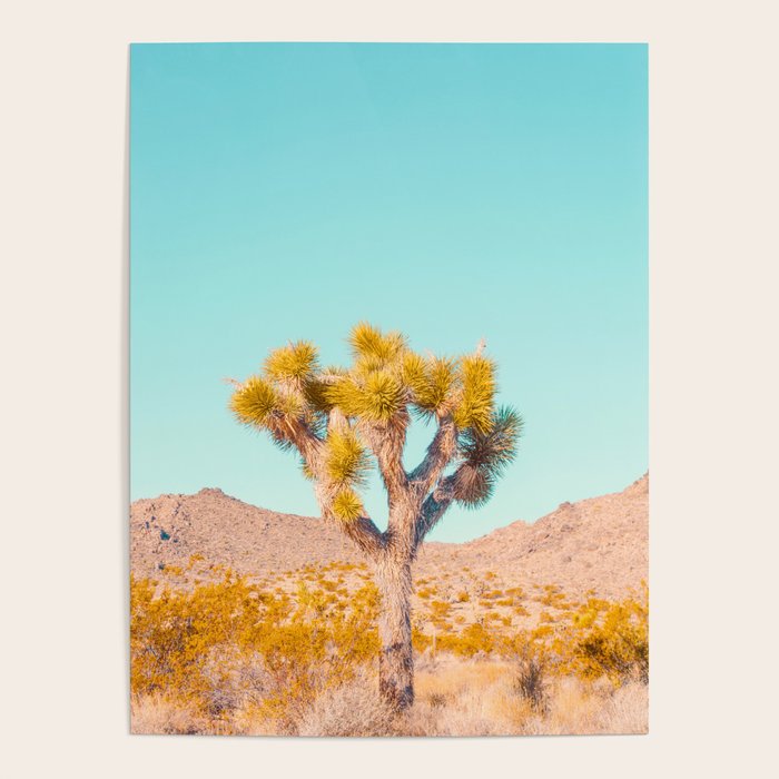 Vivid Desert - Joshua Tree Cactus Poster Gallery Image 4