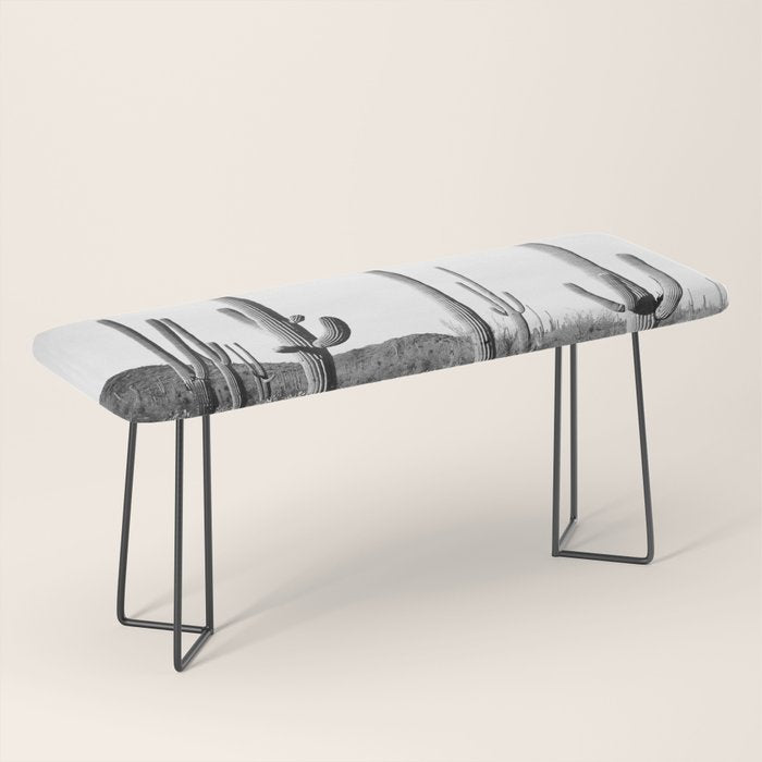 Grey Cactus Land Bench Gallery Image 1