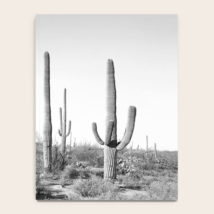 Grey Cactus Land Notebook Gallery Image 4