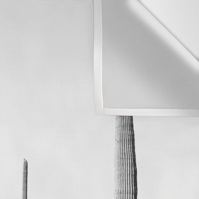 Grey Cactus Land Wall Tapestry Gallery Image 3
