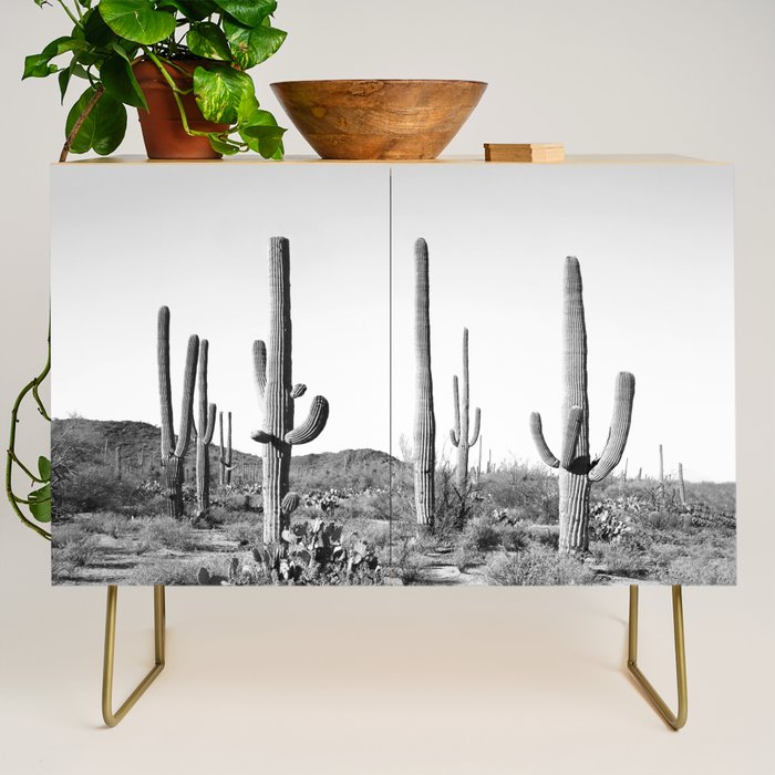 Grey Cactus Land Credenza Gallery Image 1