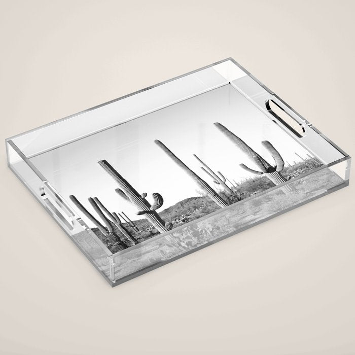 Grey Cactus Land Acrylic Tray Gallery Image 1
