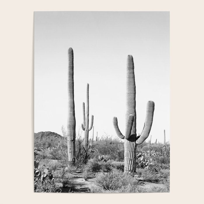 Grey Cactus Land Poster Gallery Image 4