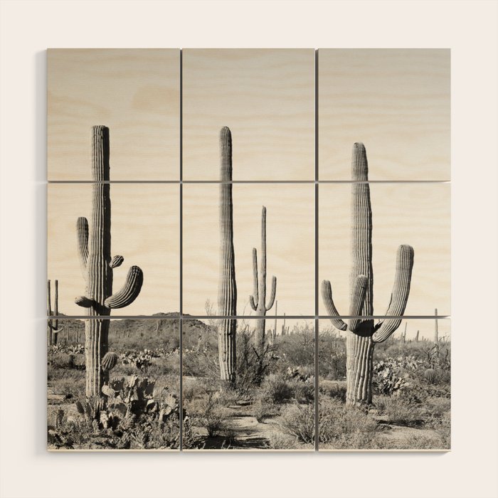 Grey Cactus Land Wood Wall Art Gallery Image 1