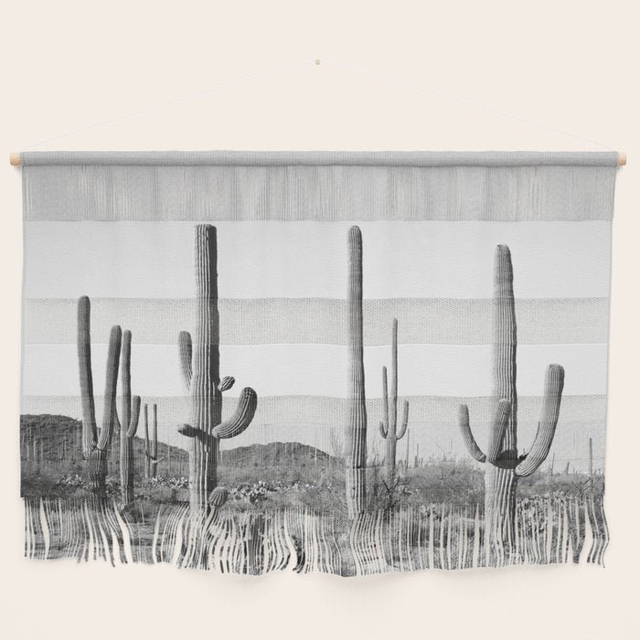 Grey Cactus Land Wall Hanging Gallery Image 1