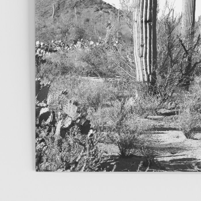 Grey Cactus Land Poster Gallery Image 3