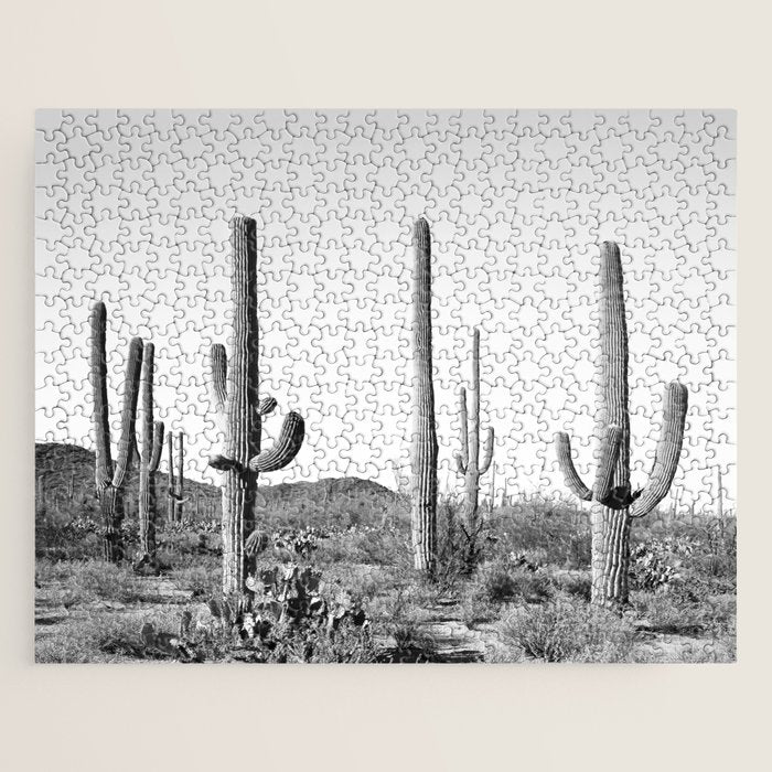 Grey Cactus Land Jigsaw Puzzle Gallery Image 1