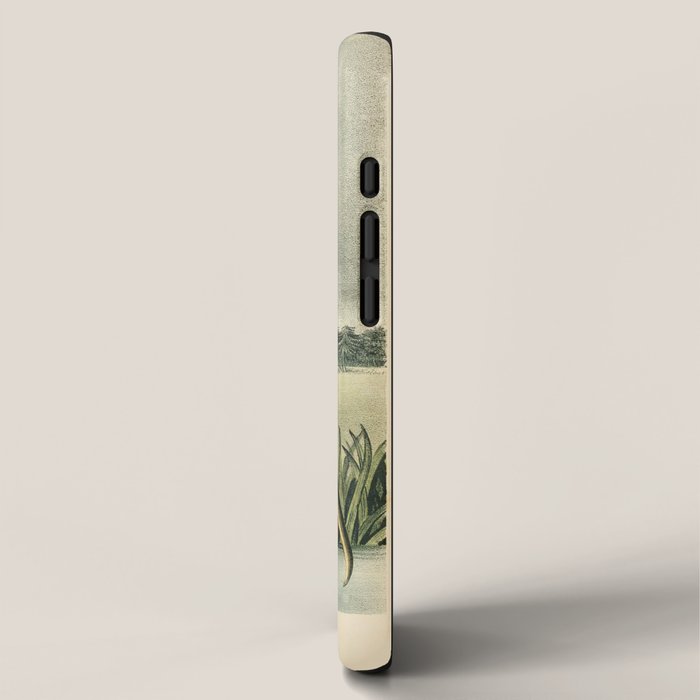 Bird Divinations: Wood Ibis (about: almanacofbirds.org) iPhone Case Gallery Image 2
