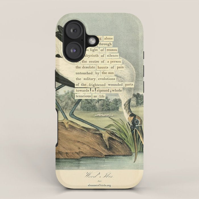 Bird Divinations: Wood Ibis (about: almanacofbirds.org) iPhone Case Gallery Image 1
