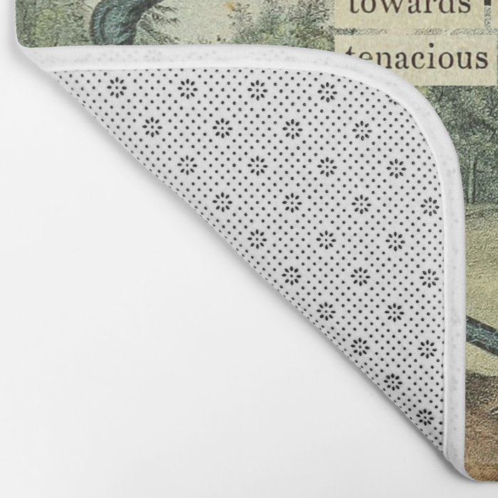 Bird Divinations: Wood Ibis (about: almanacofbirds.org) Bath Mat Gallery Image 2