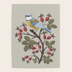 Blue Tit on Red Rose Hips Poster Gallery Image 4