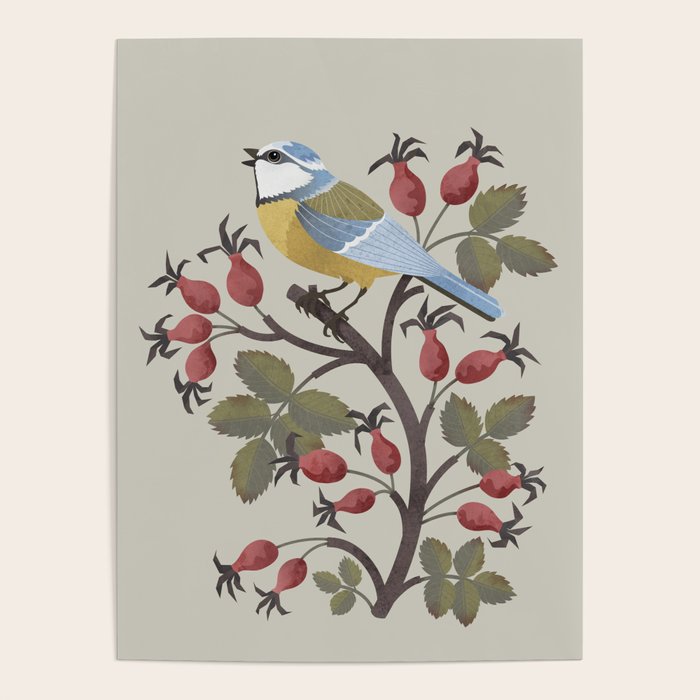 Blue Tit on Red Rose Hips Poster Gallery Image 1