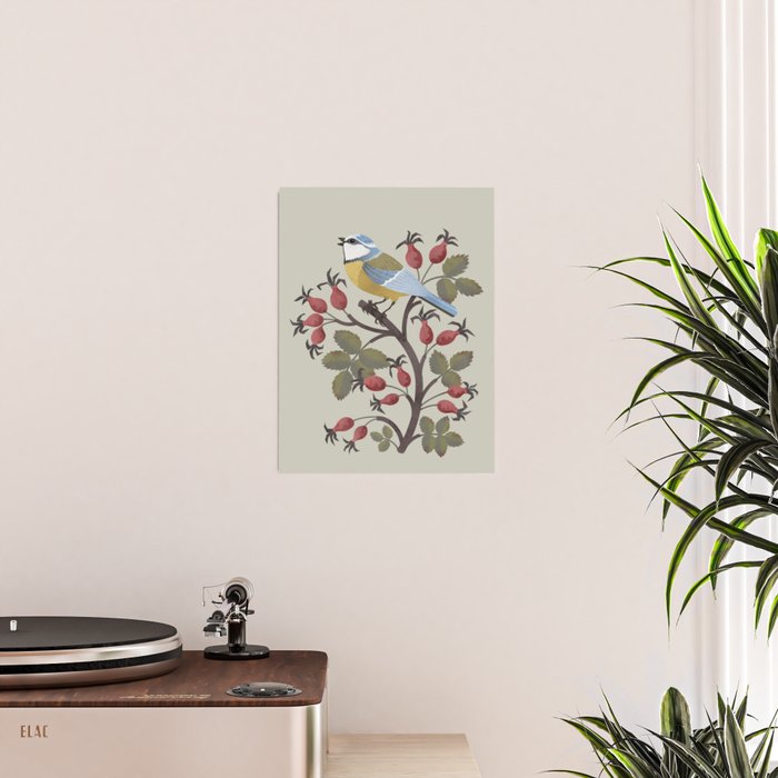 Blue Tit on Red Rose Hips Poster Gallery Image 2