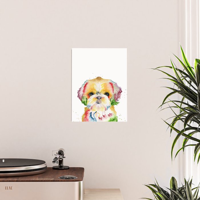 Shih Tzu Watercolor  Poster Gallery Image 2