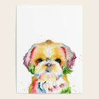 Shih Tzu Watercolor  Poster Gallery Image 4